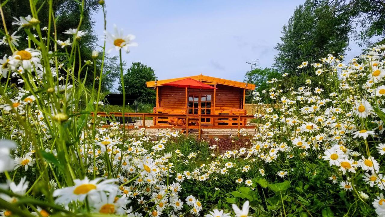 East Pool Cabin Линкольн Экстерьер фото